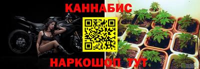 трава Лесосибирск