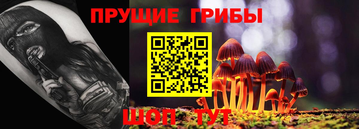 Галлюциногенные грибы мицелий  Псилоцибиновые грибы мицелий  Хабаровск  Вход с VPN 